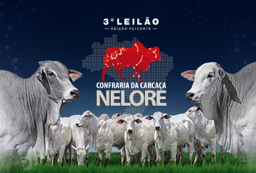 3º LEILÃO CONFRARIA DA CARCAÇA NELORE